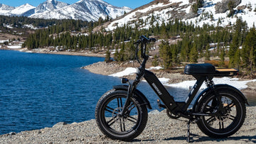 Himiway Moped Style Electric Bike