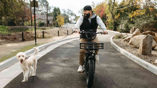 Don't Miss Out on the Himiway Fat Tire Electric Bike This Spring