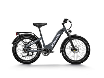 Himiway D5 ST (Zebra ST) | Premium All-terrain Electric Fat Bike